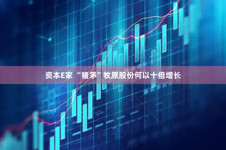 资本E家 “猪茅”牧原股份何以十倍增长
