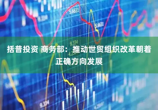 括普投资 商务部：推动世贸组织改革朝着正确方向发展