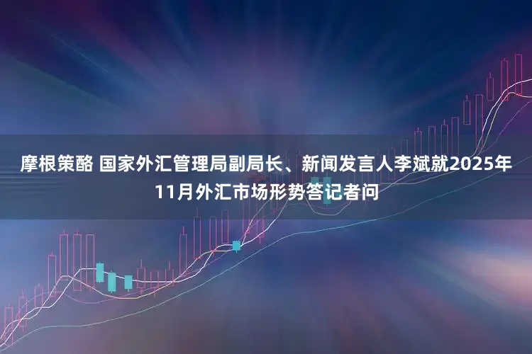 摩根策酪 国家外汇管理局副局长、新闻发言人李斌就2025年11月外汇市场形势答记者问
