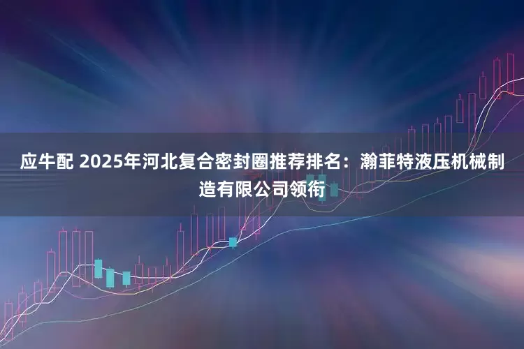 应牛配 2025年河北复合密封圈推荐排名：瀚菲特液压机械制造有限公司领衔