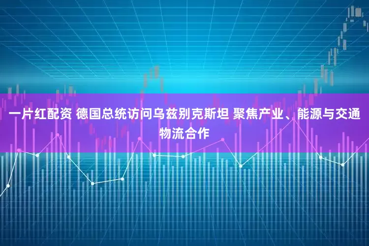 一片红配资 德国总统访问乌兹别克斯坦 聚焦产业、能源与交通物流合作